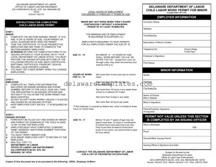Fill a Valid Delaware Work Permit Form